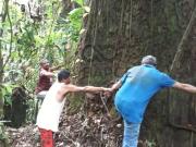 Fazenda bela vitória de 310ha una/ba