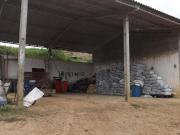 Fazenda Caiçara COD: 5038 F: 11 97302 9229 CESAR