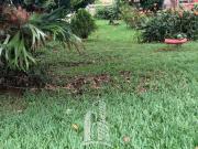 Fazenda, Centro, Formosa, GO