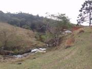 Fazenda, Centro, Lagoinha, SP