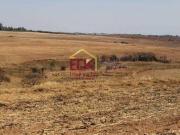 Fazenda com 1 dormitório à venda, 1403600 m² por R$...