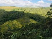 Fazenda com 38alq. sul MG AndradasxCaldas $6.000.000