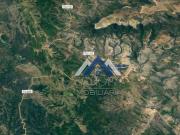 Fazenda com 3 dormitÃ³rios Ã venda, 1900 mÂ² por R$...