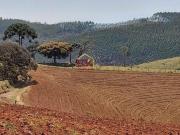 Fazenda com 3 dormitórios à venda, 1050000 m² por R$...