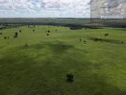 Fazenda com 6.480 hect TODA EM PASTAGEM Santo Antonio do...