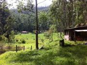 Fazenda com 6 dormitórios à venda, 1161600 m² por R$...