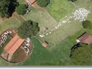 Fazenda com sede de primeira