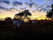 FAZENDA de 1.844 hectares Santa Fé de Minas Venda ou...