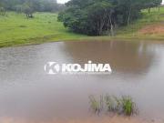 Fazenda de 20 Alqueires em Iporá, Goiás Fazenda de 20...