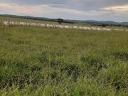 Fazenda de 430 alqueires goianos ou 2.080 hectares em...