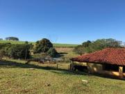Fazenda de 54 `alq. p ` entre Ribeirão Preto e Brodowski