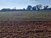Fazenda de 550 Hectares em Campo Grande MS –.