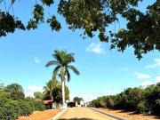 FAZENDA DE CAFÉ 130 HECTARES PIUMHI/MG