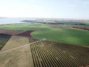 Fazenda de luxo à venda em Cardoso SP, Zona Rural: 3...