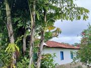 Fazenda Disponível pra Venda no município de Luziania....