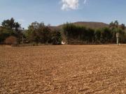 Fazenda em Alto Paraiso GO 340 hectares R$ 15.500.000,00
