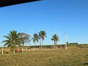 Fazenda em Araçatuba/SP