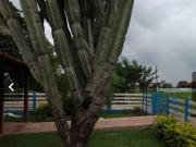 FAZENDA EM ARINOS
