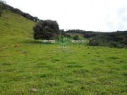 Fazenda em Baependi sul de Minas com 188 ha toda formada...