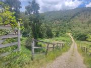 Fazenda em Córrego D'Antas, Nova Friburgo/RJ de...