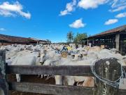 Fazenda em Fonte Limpa, Araruama/RJ de 0m² à venda por...