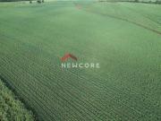 Fazenda em Jaguapitã Centro Jaguapitã/PR