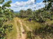 Fazenda em Luziania com 45 Alqueires 200 Mil cada Alqueire