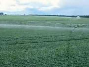 Fazenda em Nantes SP