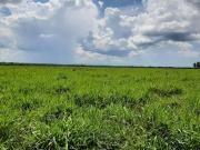 Fazenda em Presidente Kennedy Tocantins com 3.584...