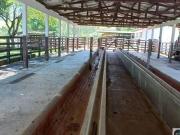 Fazenda em Redenção da Serra