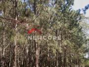 Fazenda em Rodovia Área Rural de São Miguel Arcanjo São...