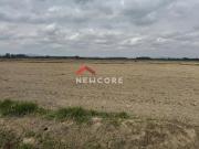 Fazenda em Vgv Estimado Em Hum Bilhão de Reais“filé de...