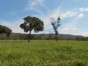 Fazenda, Fazenda de 1.400 Hectares, Buenópolis, MG