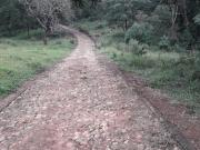 Fazenda, Fazenda de 20 Hectares, Belo Vale, MG