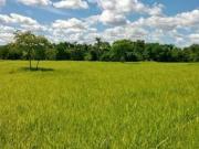 FAZENDA FORMOSA GOIÀS| PLANA, TODA FORMADA COM 300 ALQUEIRES