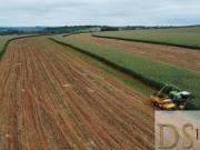 Fazenda Leiteira e Laticínio de 244,5 Alqueires à Venda...