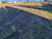 Fazenda Lucena Córdoba 83581113 Fazenda Lucena Córdoba 83581113