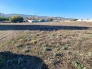 Fazenda Lucena Córdoba ELS83581113