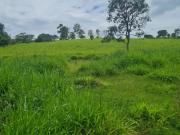 Fazenda municipio de alexania goias 7 alqueires Alexânia GO