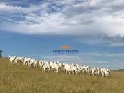 Fazenda na lavoura, com 934,0 Alqueires por R$...