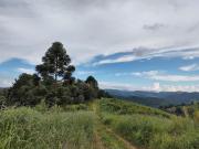 Fazenda na Serra da Mantiqueira Sul de Minas Área total...