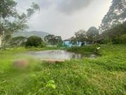 Fazenda no Sul de Minas, Santo Antonio do Rio Grande,...