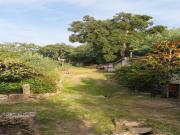 Fazenda orgânica com muitas variedades de árvores... Fazenda orgânica com muitas variedades de árvores...