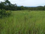 Fazenda para pecuária em Colinas do Sul Goiás