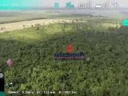 Fazenda para Venda em Açailândia/MA Centro 1 Quartos