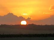 Fazenda para Venda em Alhandra/PB Zona Rural