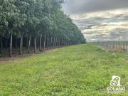 Fazenda para Venda em Araguaína/TO Área Rural de...