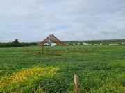 Fazenda para Venda em Araguaína/TO Área Rural de Araguaína
