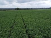 Fazenda para Venda em Araguaína/TO Setor Central