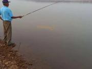 Fazenda para Venda em Araguari/MG Área Rural de Araguari...